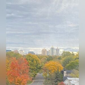 I am no longer making private offers... for that reason my prices are low. TIA